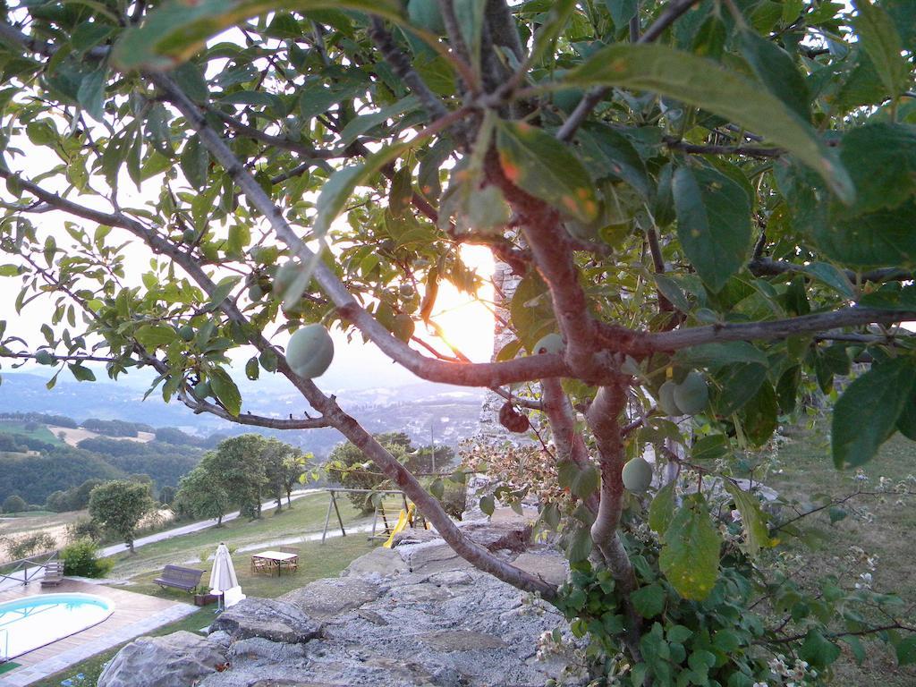 Вілла Agriturismo Borgo San Benedetto П'єтралунга Екстер'єр фото